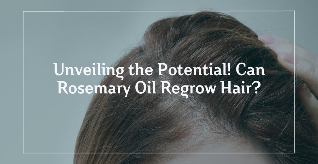 Unveiling the Potential! Can Rosemary Oil Regrow Hair?